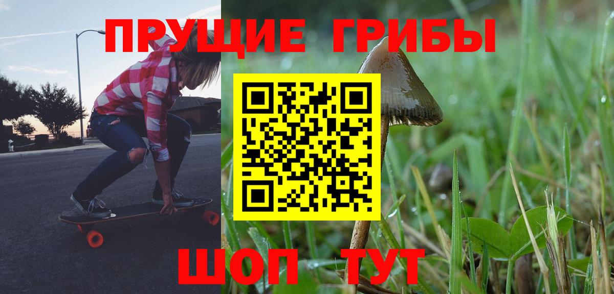 Псилоцибиновые грибы мицелий Якутск